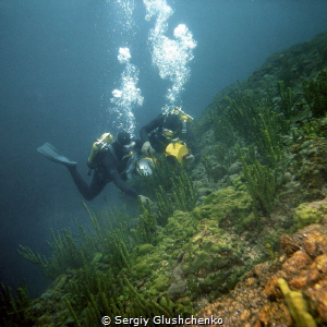 Retro-diving. by Sergiy Glushchenko 